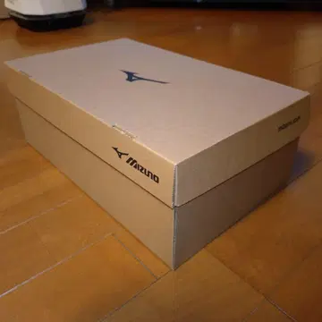미즈노 ME-05 GTX II 25.0cm EEE