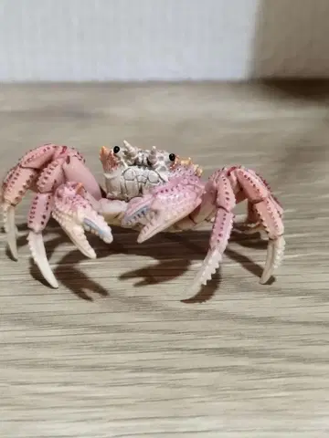 게니 모가니 네이처 테크니컬러 일본 생물 모가니 가챠 캡슐