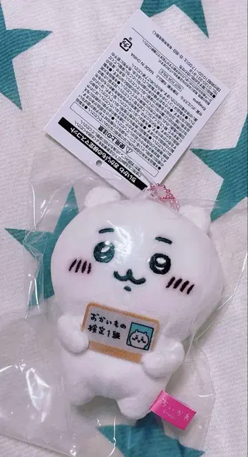 치이카와 (먼작귀) 해수욕장 마스코트