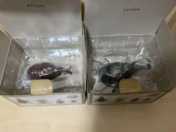 제일복권 곤충 세계 곤충 박물관 H상 데스크탑 피규어 장수풍뎅이 사나기