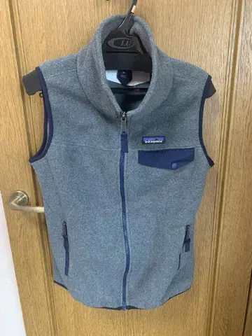 Patagonia Synchilla 플리스 베스트