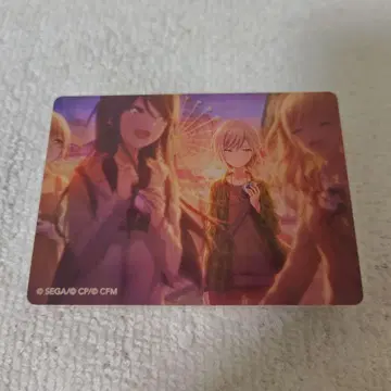 프로세카 아크릴 블록