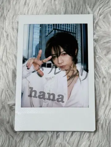 SHIN 폴라로이드
