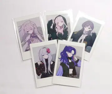 프로세카 ZOZOTOWN 니고 폴라로이드