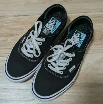 Vans 오센틱 쿠션 25cm