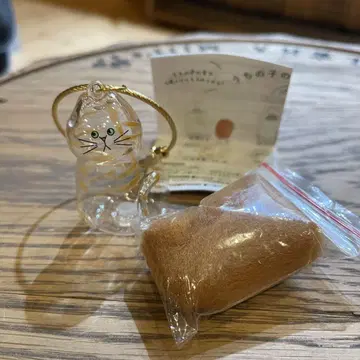 우리 아이의 털뭉치