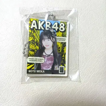 AKB48 아크릴 키링 헝겊 가방 다이마루 가챠