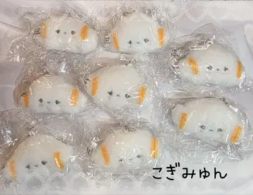 산리오 캐릭터즈 봉제 인형 참 코기뭉