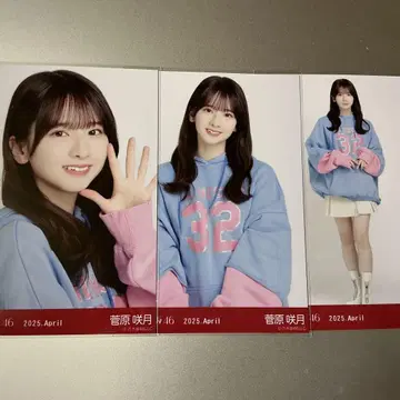 노기자카46 브로마이드 칼리지 스가하라 사츠키 컴프