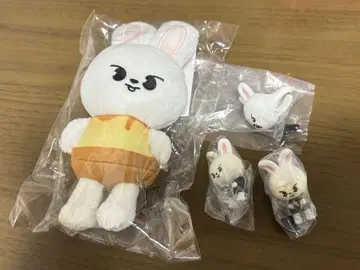 Lee 비트