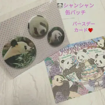 샨샨 캔 배치 세트