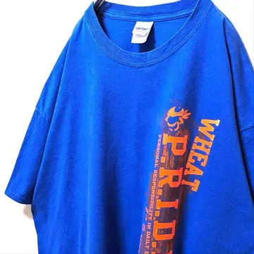 길단 위트 P.R.I.D.E 로고 티셔츠 블루 파랑 2XL 구제 의류