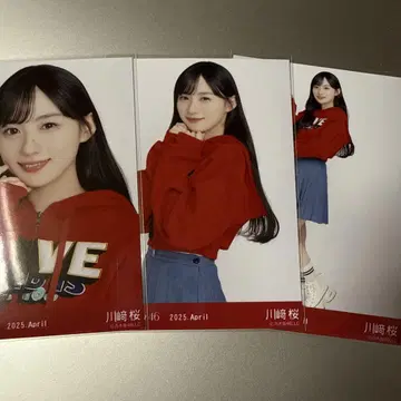 노기자카46 브로마이드 칼리지 카와사키 사쿠라 컴프