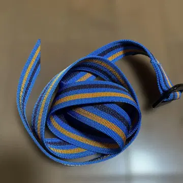Patagonia 프릭션 벨트