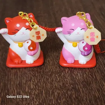 풍수 마네키네코 마스코트 극, 학업, 연애 세트