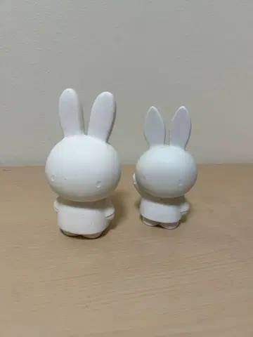 레어 미사와 홈 소성 미피 2개