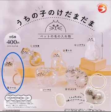 우리 아이의 털뭉치, 샴, 가챠가챠, 반려동물의 털을 담는 용기