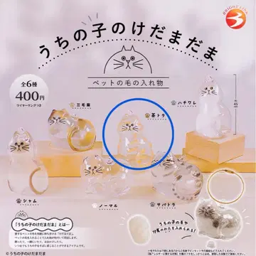 우리 아이의 털뭉치 브라운 가챠가챠 반려동물의 털을 담는 용기