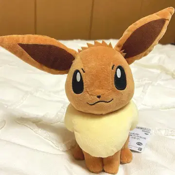 포켓몬 이브이 봉제 인형