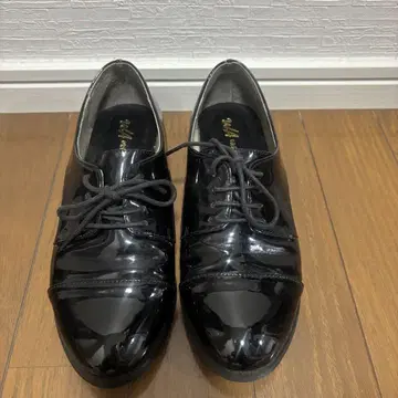 오리엔탈 트래픽 로퍼