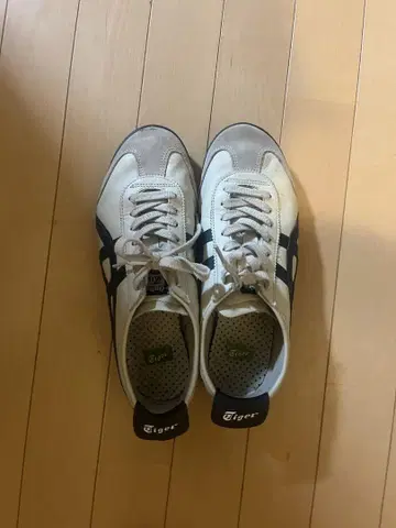 오니츠카타이거