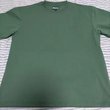 Franklin Climbing 수륙 양용 티셔츠 그린