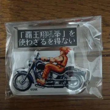 패왕의 포효를 사용할 수밖에 없다 아크릴 블록 류코의 주먹 SNK 스토어