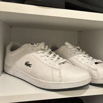 Lacoste 화이트 가죽 스니커즈