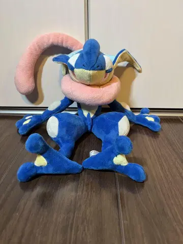 포켓몬 센터 봉제 인형 게코우가