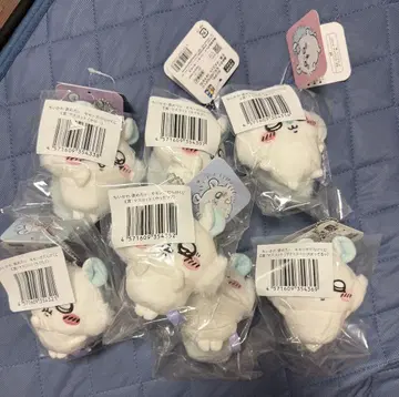 모몽가 가득 복권 E상