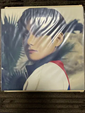 BTS, THE BEST 미개봉 사진 캔버스 테테 V 태현