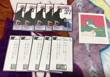 BLEACH 머리말  포트레이트 아야세 가와 유미치