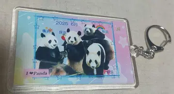 2025.6 어드벤처 월드 원내 한정판 아크릴 키링 아이 러브 팬더