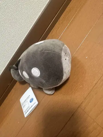 물고기 봉제 인형 그레이