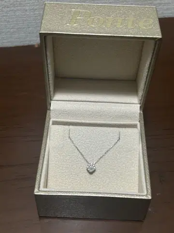 Pt999 다이아몬드 목걸이