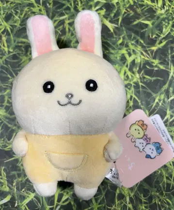 치이카와 (먼작귀) 봉제 인형 뭔가 닮았어 바니아 토끼