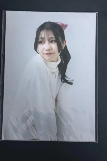 Yukimura Eri 이 나무는 무슨 나무인가요? 브로마이드 세트