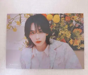 SEVENTEEN always yours 타워 레코드 플라이어 정한