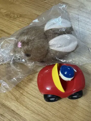 DWE 플레이얼롱 토끼 브라운, 자동차