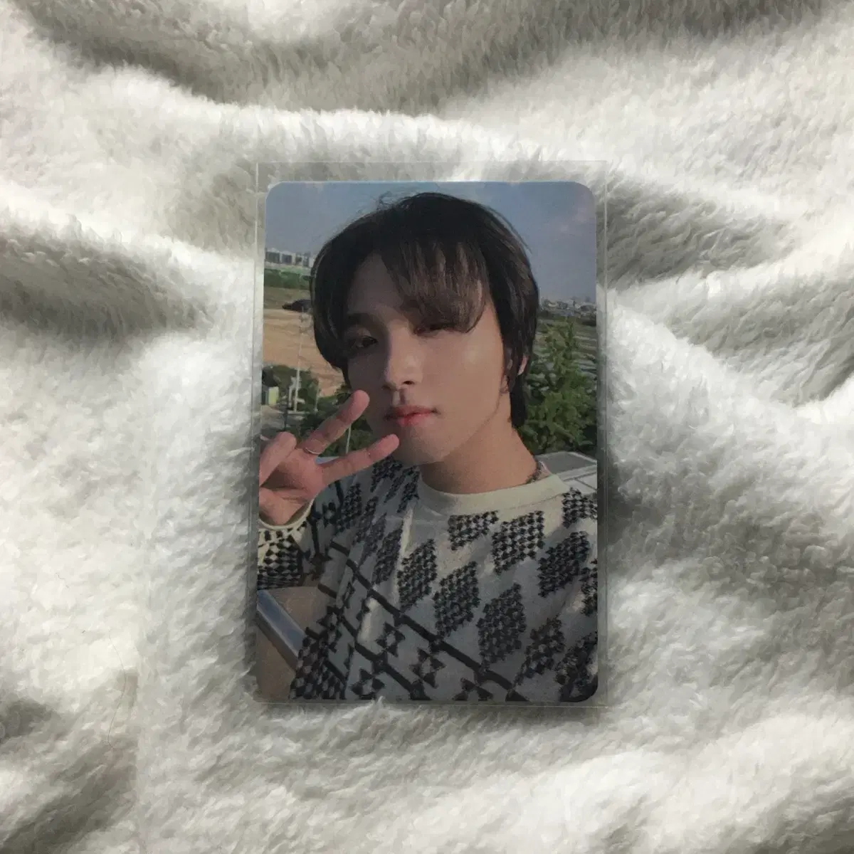 엔시티 드림 istj 케타포 미공포 특전 해찬 포카 양도