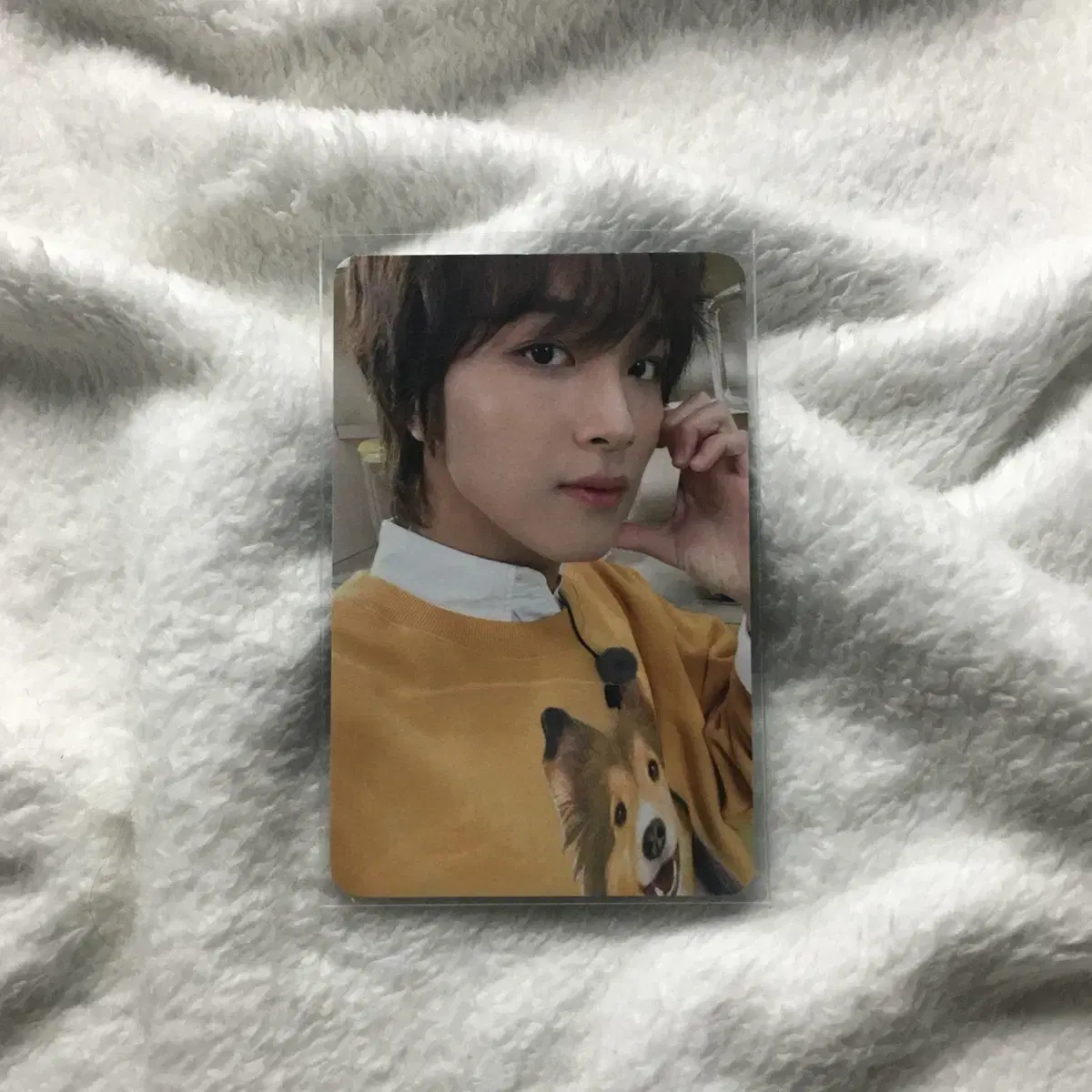 엔시티 127 비델폴미 케타포 미공포 해찬 포카 양도