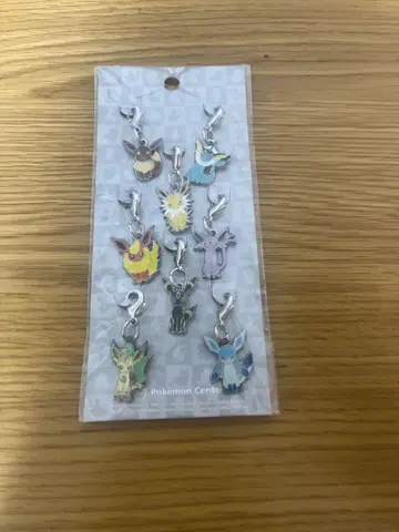 포켓몬 메탈 참 부이즈