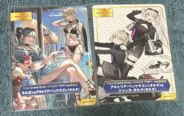 FGO TYPE-MOON 페어 ni pi 알토리아 모건 잔