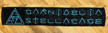 GARNiDELiA 타월