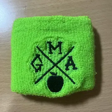 Mrs. GREEN APPLE 리스트 밴드