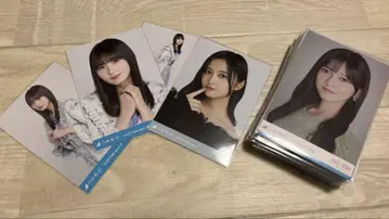 노기사카 브로마이드 묶음 판매