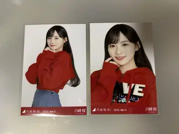 1903. 노기자카46 카와사키 사쿠라 브로마이드 세미 컴프
