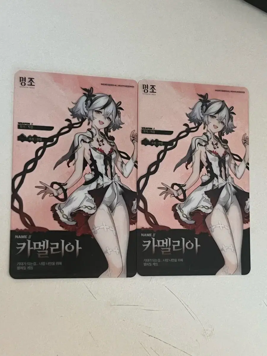 Product Details - 1
