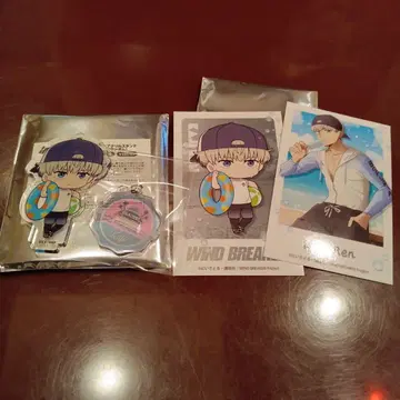마네키네코 WIND BREAKER 가지 미니아크릴 스탠드 포토 카드 세트
