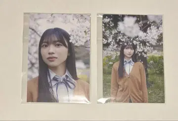 사쿠라자카46 사토 아이 사쿠라 엽서